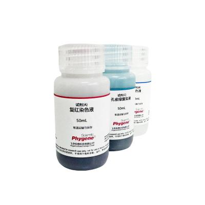 PH1986 | 隐孢子虫卵囊染色液 改良抗酸法 Cryptosporidium oocyst staining solution  (Modified acid-fast method)