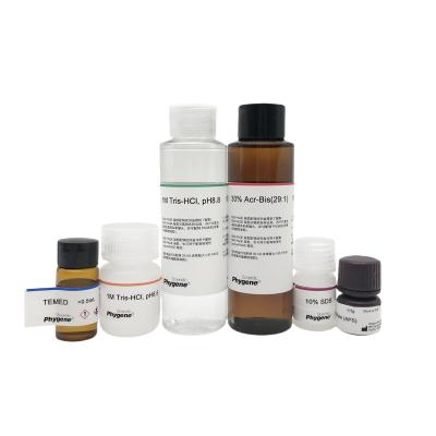 PH0331 | SDS-PAGE凝胶制备试剂盒 (SDS-PAGE Gel Kit)
