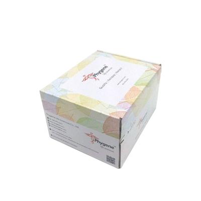 PH1146 | AB-PAS染色液 Alcian Blue Periodic Acid SchiffAB-PASStain Kit
